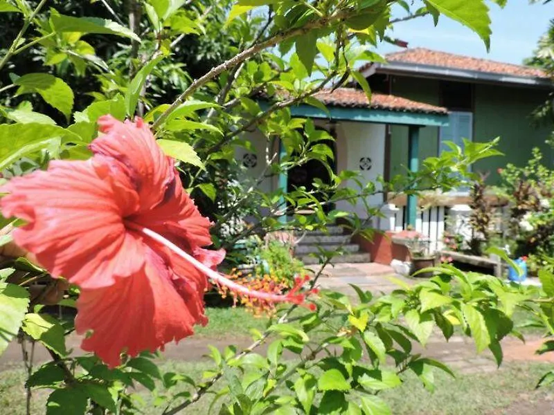 Apa Kaba Home & Stay Malacca 2*,